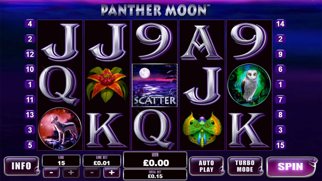 Panther Moon