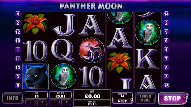 Panther Moon