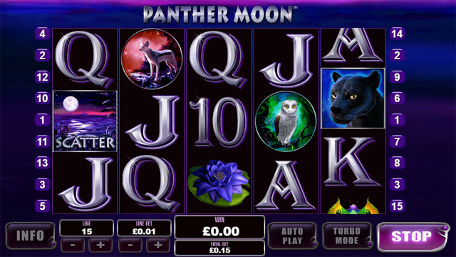 Panther Moon